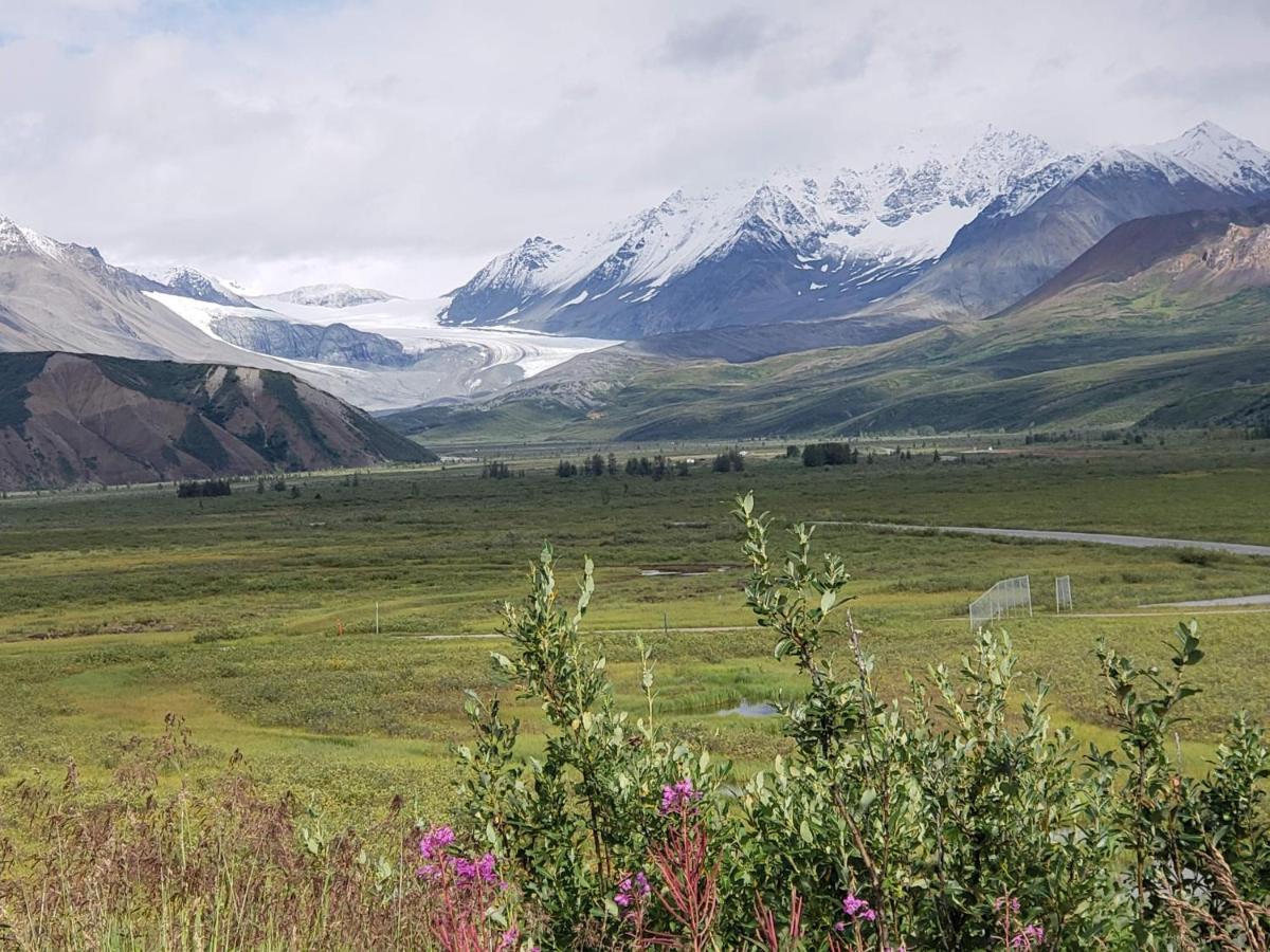 Denali Wild Stay - Moose Cabin, Free Wifi, 2 Private Bedrooms, Sleep 6 Healy Luaran gambar