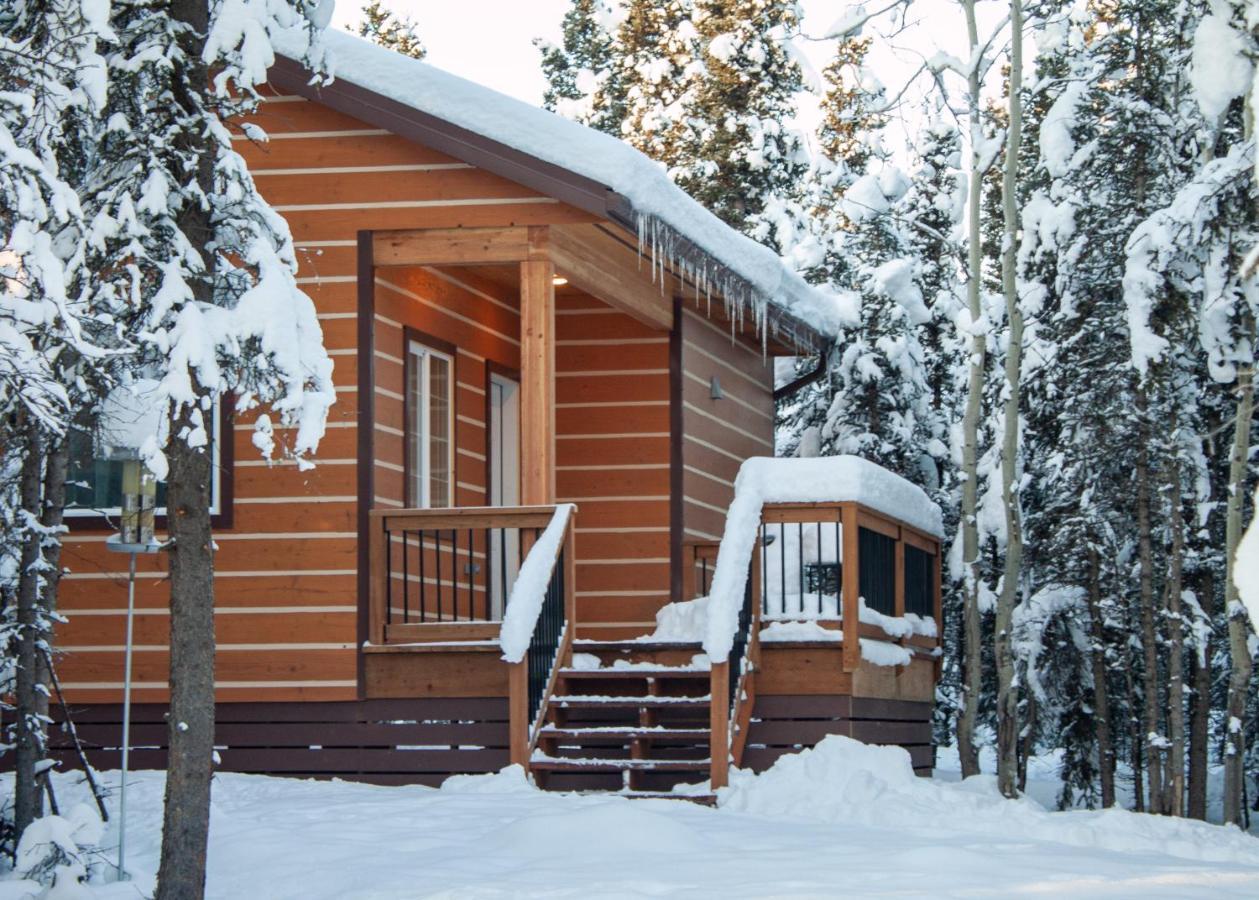 Denali Wild Stay - Moose Cabin, Free Wifi, 2 Private Bedrooms, Sleep 6 Healy Luaran gambar