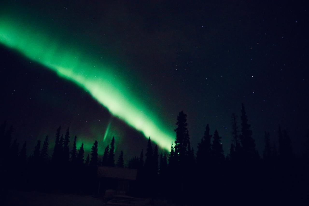 Denali Wild Stay - Moose Cabin, Free Wifi, 2 Private Bedrooms, Sleep 6 Healy Luaran gambar