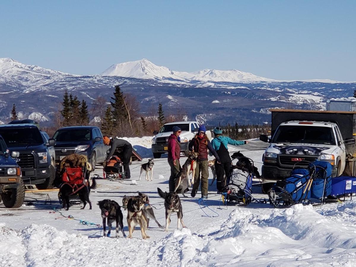 Denali Wild Stay - Moose Cabin, Free Wifi, 2 Private Bedrooms, Sleep 6 Healy Luaran gambar