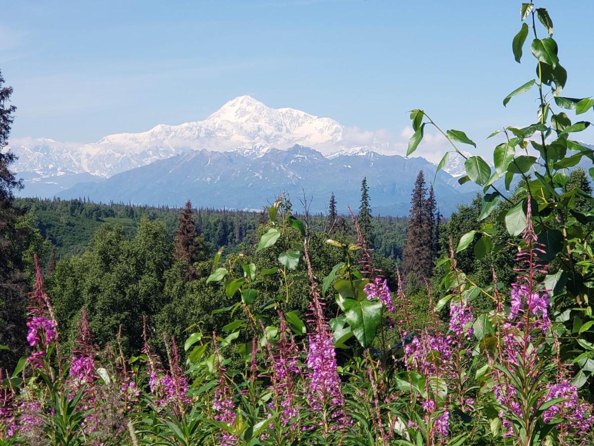 Denali Wild Stay - Moose Cabin, Free Wifi, 2 Private Bedrooms, Sleep 6 Healy Luaran gambar
