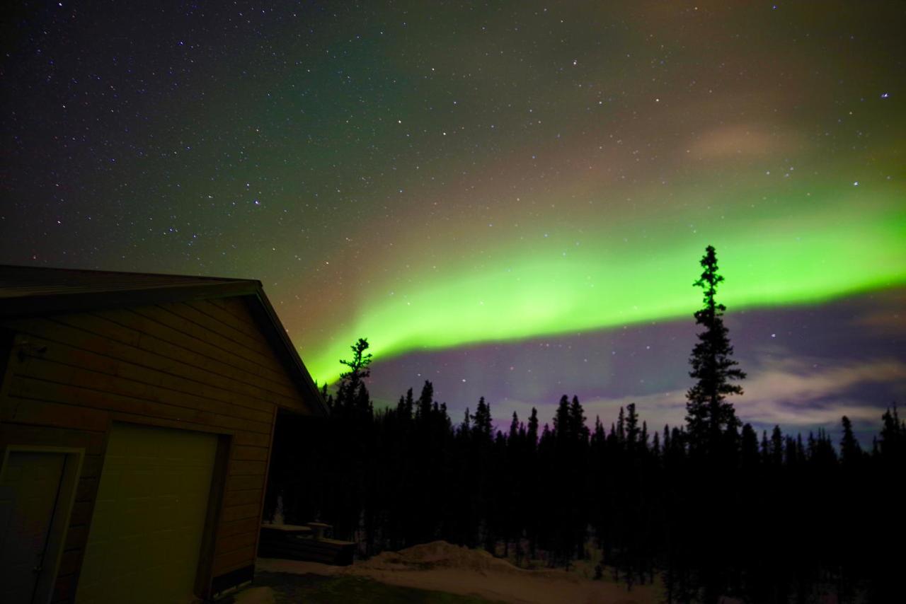 Denali Wild Stay - Moose Cabin, Free Wifi, 2 Private Bedrooms, Sleep 6 Healy Luaran gambar