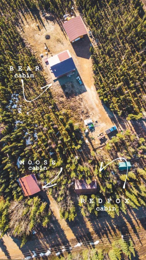 Denali Wild Stay - Moose Cabin, Free Wifi, 2 Private Bedrooms, Sleep 6 Healy Luaran gambar
