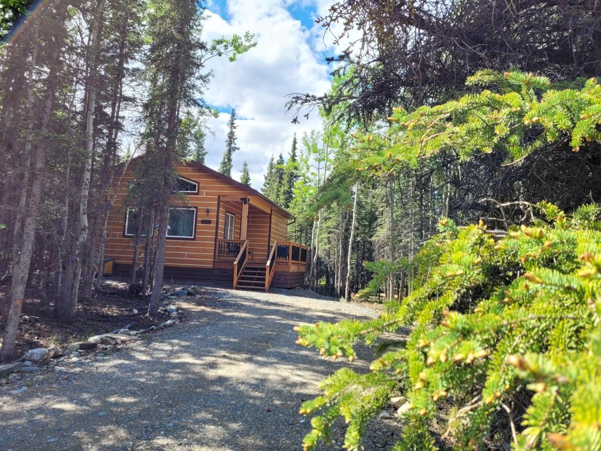 Denali Wild Stay - Moose Cabin, Free Wifi, 2 Private Bedrooms, Sleep 6 Healy Luaran gambar